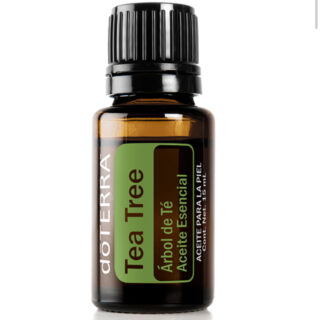 Tea Tree (Árbol de Té) 15ml Melaleuca alternifolia
