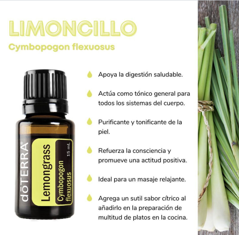 Limoncillo 15ml (Cymbopogon flexuosus) - Imagen 2