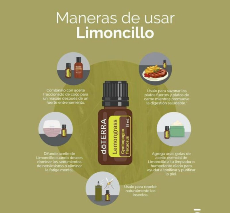Limoncillo 15ml (Cymbopogon flexuosus) - Imagen 3